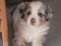 isildur